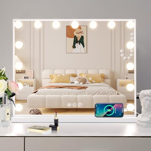 Leishe Vanity Mirror 10X with 15LED Lights 3 Modes USB Charger