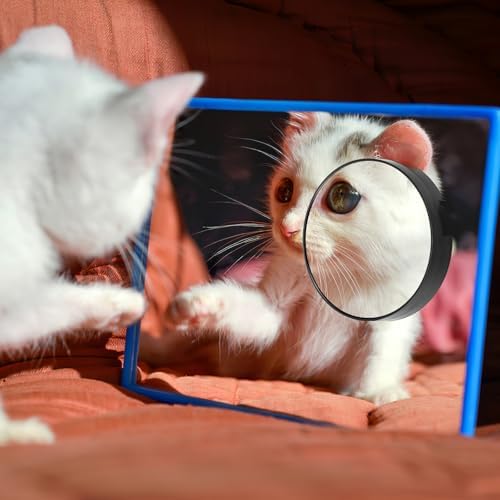Luxshiny 5x Magnifying Mirror for Compact Use Space-Saving Durable