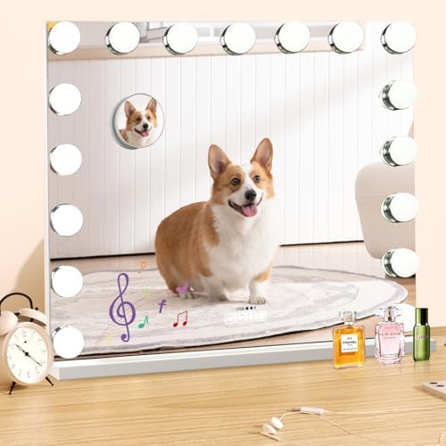 Vanity Mirror with Music LED Lights