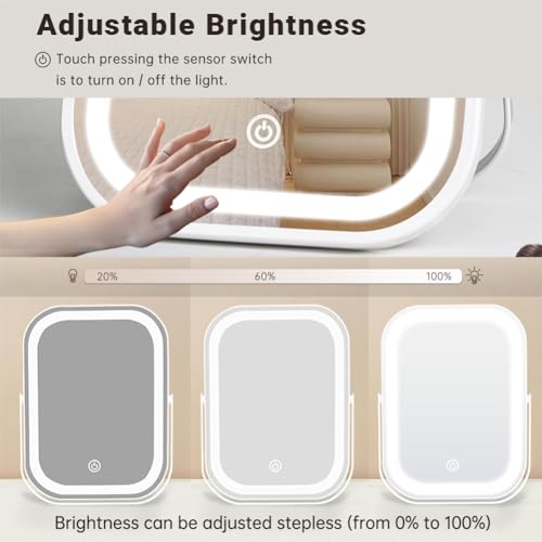 Travel Makeup Mirror with Lights