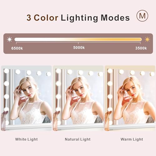 10x Magnification Makeup Mirror with 3 Lighting Modes