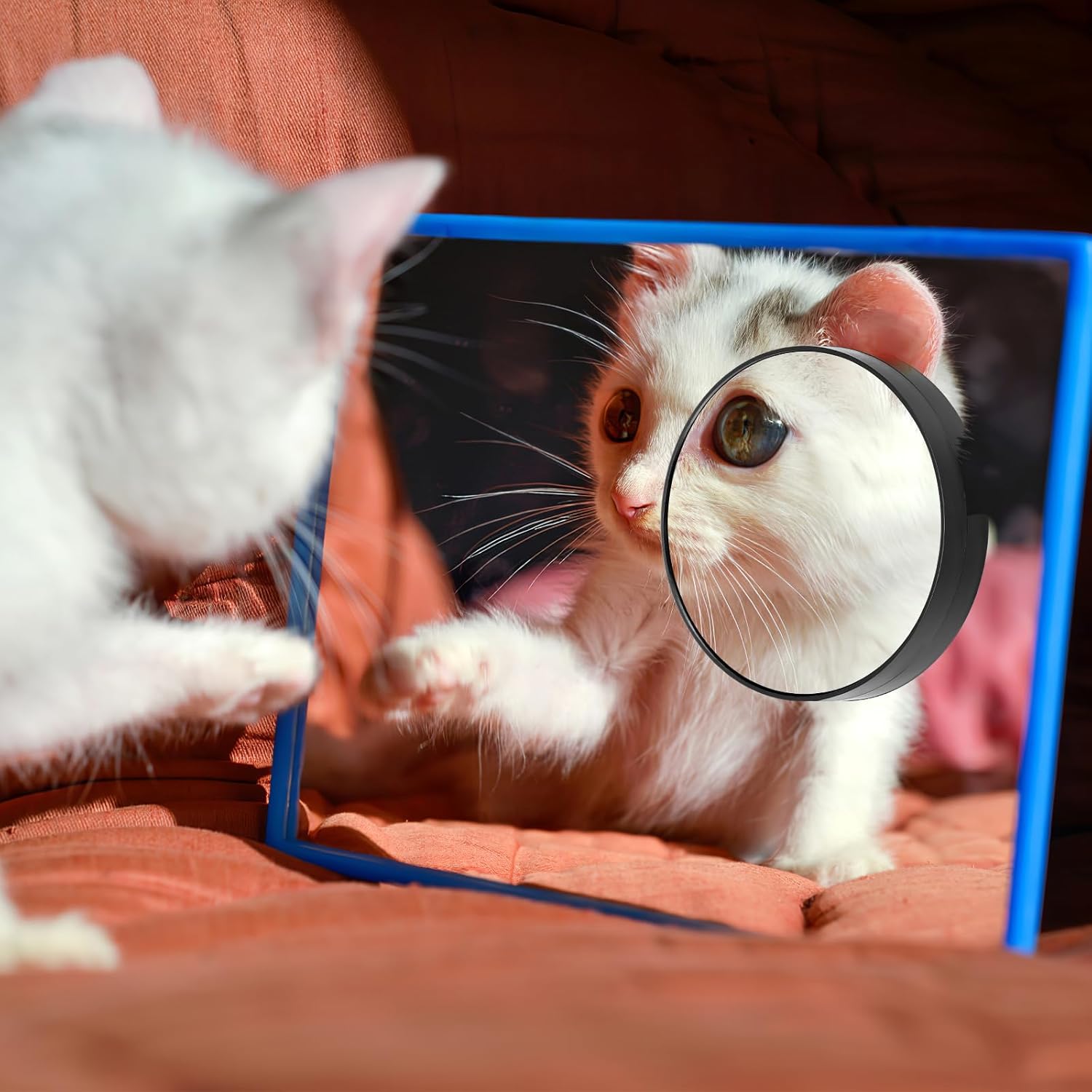 Luxshiny 5x Magnifying Mirror for Compact Use Space-Saving Durable